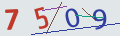 verifycode